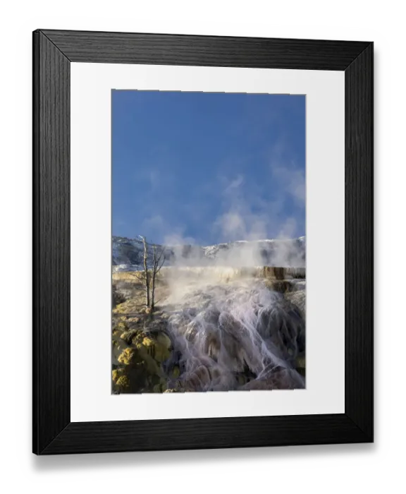 Framed Print : Colorful travertine slope with yellow and brown cyanobacteria, Mammoth Hot Springs, Yellowstone National Park, Wyoming Framed Print : Colorful travertine slope with yellow and brown cyanobacteria, Mammoth Hot Springs, Yellowstone National Park, Wyoming