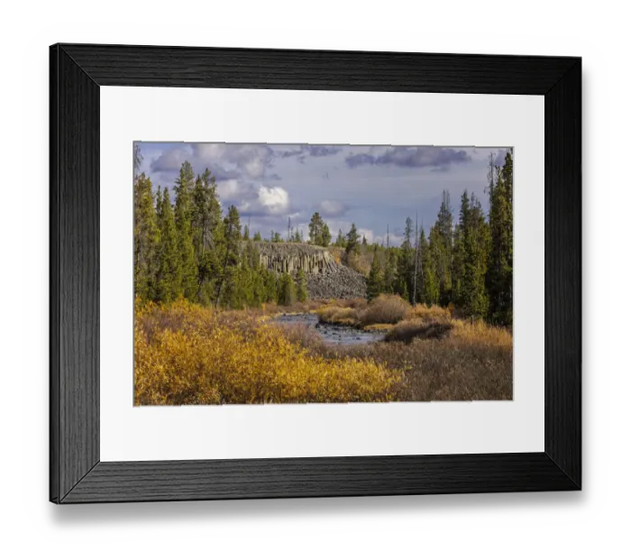 Framed Print : Columnar basalt formation at Sheepeater Cliffs, Yellowstone National Park, Wyoming