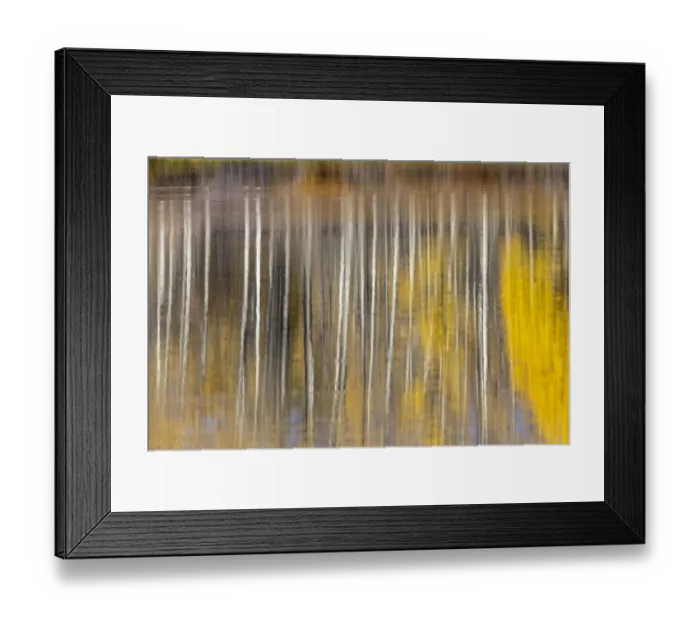 Framed Print : Autumn aspens abstract reflection at Oxbow Bend, Grand Teton National Park, Wyoming