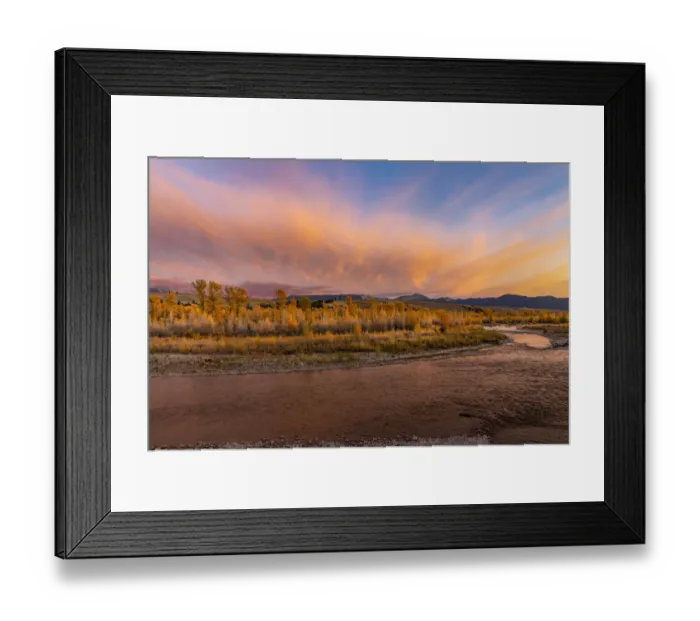 Framed Print : Golden cottonwood and aspen trees at sunset along river bank of Gros Ventre River, Grand Teton National Park, Wyoming Framed Print : Golden cottonwood and aspen trees at sunset along river bank of Gros Ventre River, Grand Teton National Park, Wyoming