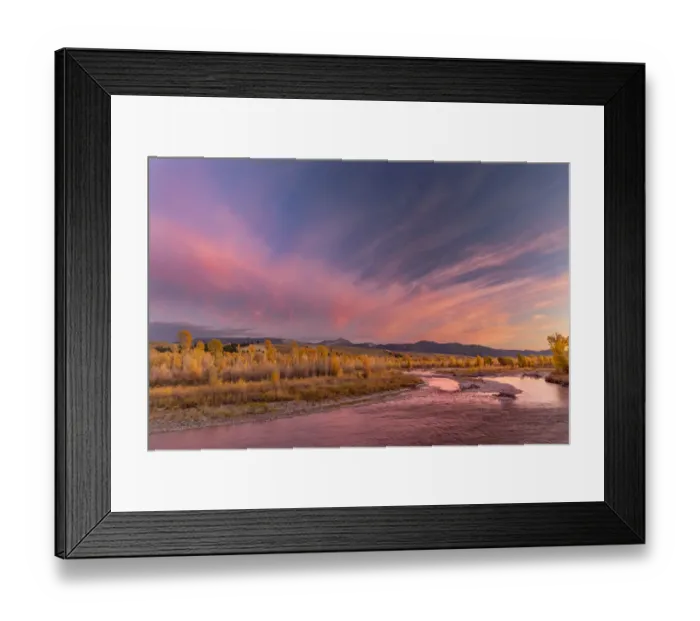 Framed Print : Golden cottonwood and aspen trees at sunset along river bank of Gros Ventre River, Grand Teton National Park, Wyoming