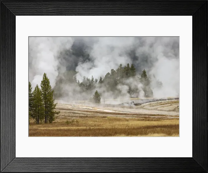 Framed Print : Grasses and mist in autumn meadow, Upper Geyser Basin, Yellowstone National Park, Wyoming Framed Print : Grasses and mist in autumn meadow, Upper Geyser Basin, Yellowstone National Park, Wyoming