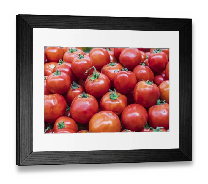 Framed Print : Khujand, Sughd Province, Tajikistan. Fresh tomatoes for sale at the Panjshanbe Bazaar in Khujand