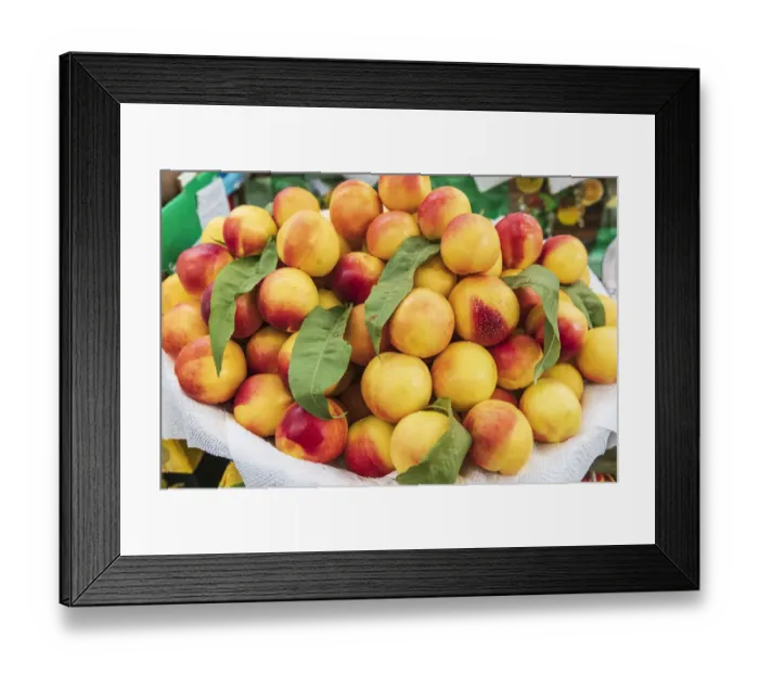 Framed Print : Khujand, Sughd Province, Tajikistan. Fresh nectarines for sale at the Panjshanbe Bazaar in Khujand Framed Print : Khujand, Sughd Province, Tajikistan. Fresh nectarines for sale at the Panjshanbe Bazaar in Khujand