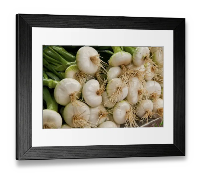 Framed Print : Tender Green onions are perfection at this farmers market in the French village of Louhans Framed Print : Tender Green onions are perfection at this farmers market in the French village of Louhans