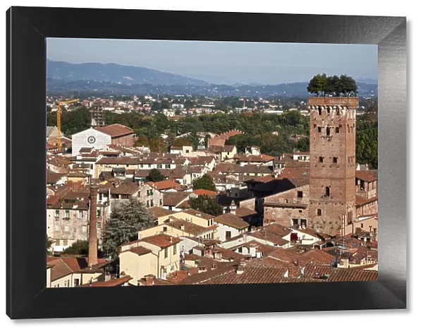Italy, Tuscany, Lucca. The rooftops of the historic center of Lucca and the Guinigi tower