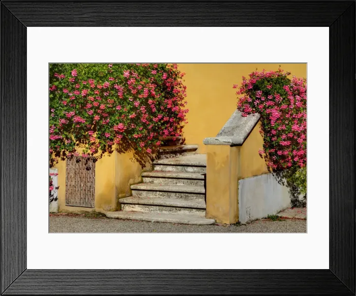 Framed Print : Italy, Tuscany. Stairs covered in flowers