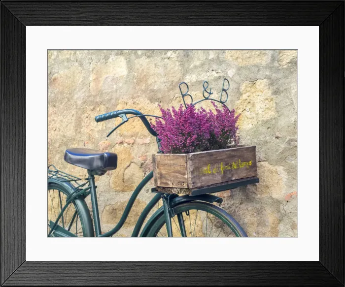 Framed Print : Italy, Tuscany, Monticchiello. Bicycle with bright pink heather in the basket Framed Print : Italy, Tuscany, Monticchiello. Bicycle with bright pink heather in the basket