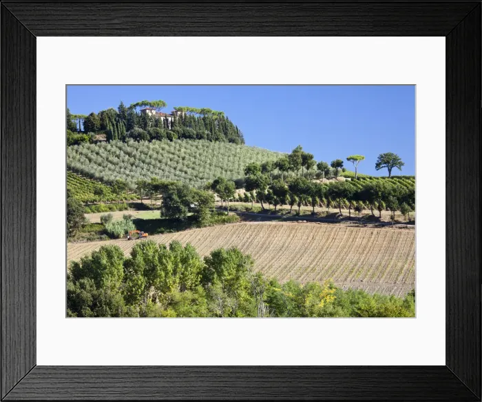 Framed Print : Italy, Tuscany. Villa on hillside surrounded with olive trees and vineyard
