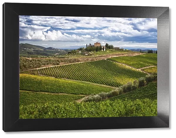 Italy, Tuscany. A view of the vineyards and villa in Chianti region of Tuscany, Italy