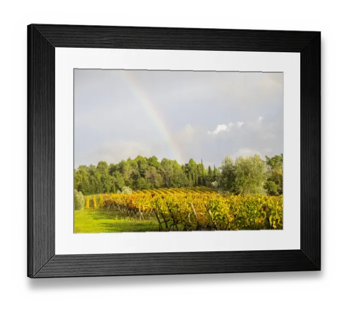 Framed Print : Italy, Tuscany. Colorful vineyard and rainbow in autumn