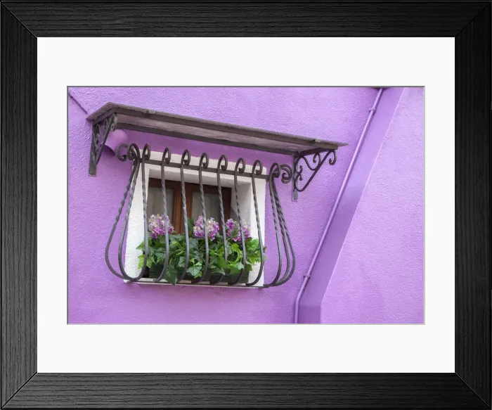 Framed Print : Italy, Venice, Burano Island. Potted hydrangeas on a window sill of a lavender house Framed Print : Italy, Venice, Burano Island. Potted hydrangeas on a window sill of a lavender house