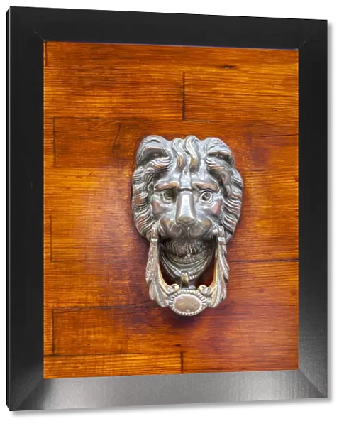 Italy, Venice, Burano Island. Closeup of a lion head door knocker on a wooden door
