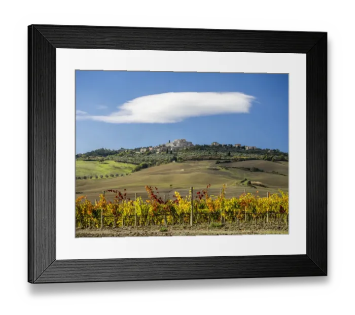 Framed Print : Italy, Tuscany. Colorful vineyards in autumn with blue skies and clouds