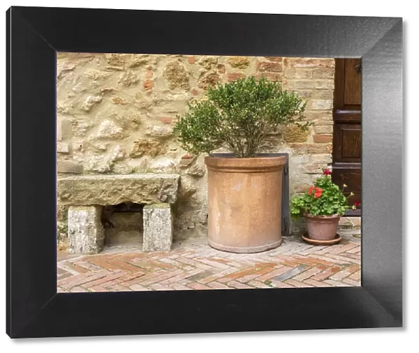 Italy, Tuscany, Pienza. Potted plants and stone bench along the streets