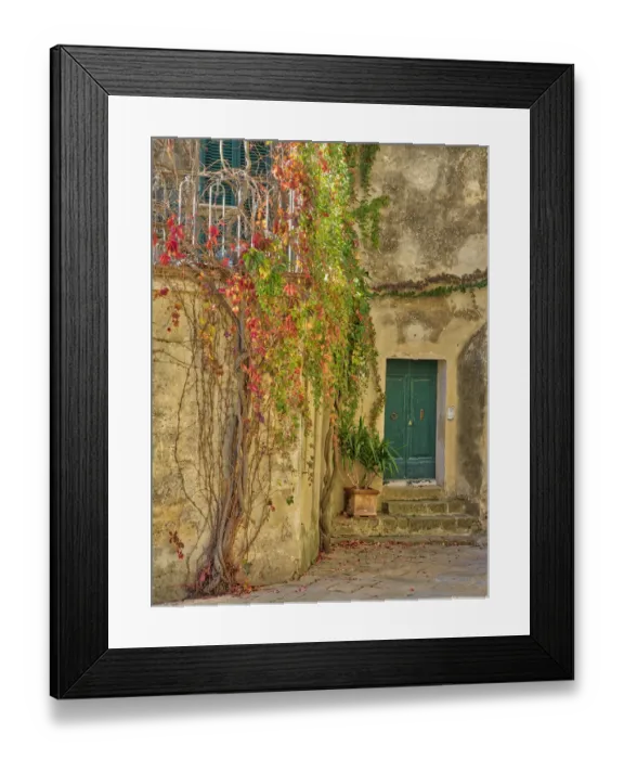 Framed Print : Italy, Tuscany, Monticchiello. Red ivy covering the walls of the buildings