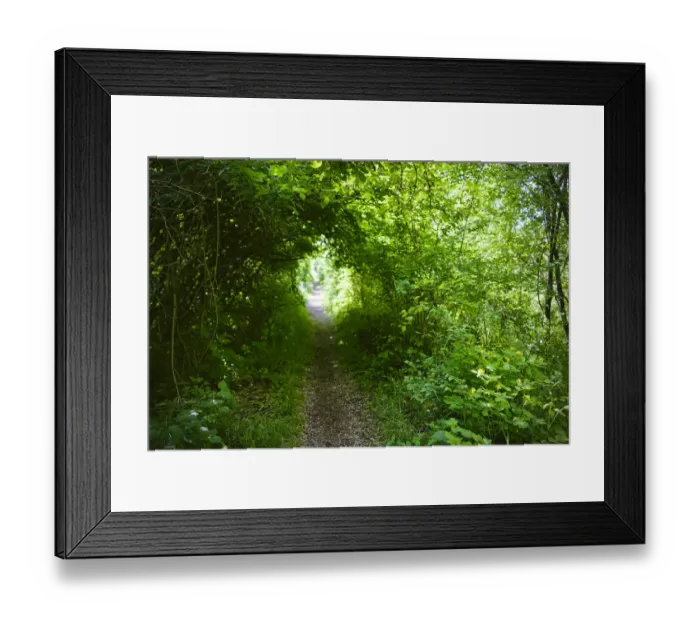 Framed Print : Italy, trail in the forest
