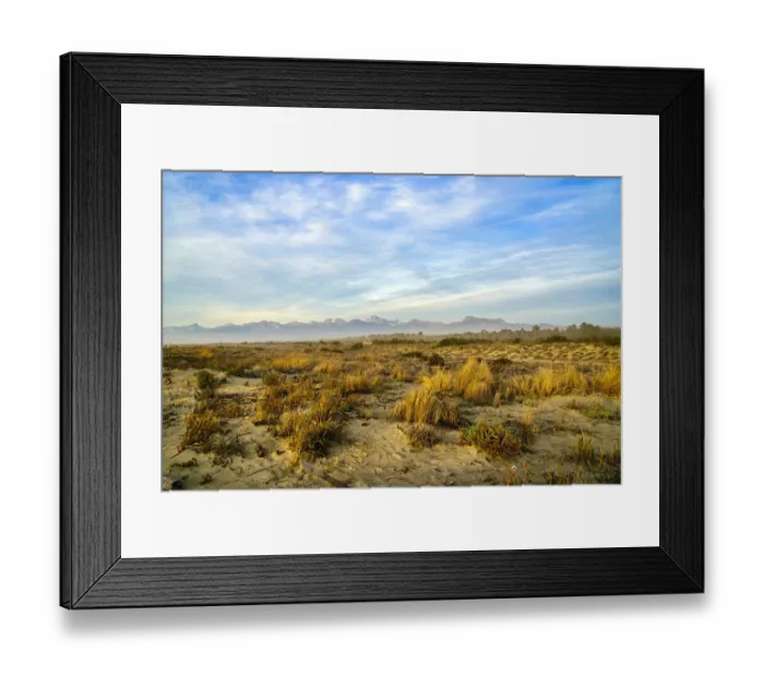 Framed Print : Italy, Riserva Naturale di Massaciuccoli San Rossore, protected coastal forest in Tuscany. Winter views. Apuan Alps on the far distance Framed Print : Italy, Riserva Naturale di Massaciuccoli San Rossore, protected coastal forest in Tuscany. Winter views. Apuan Alps on the far distance