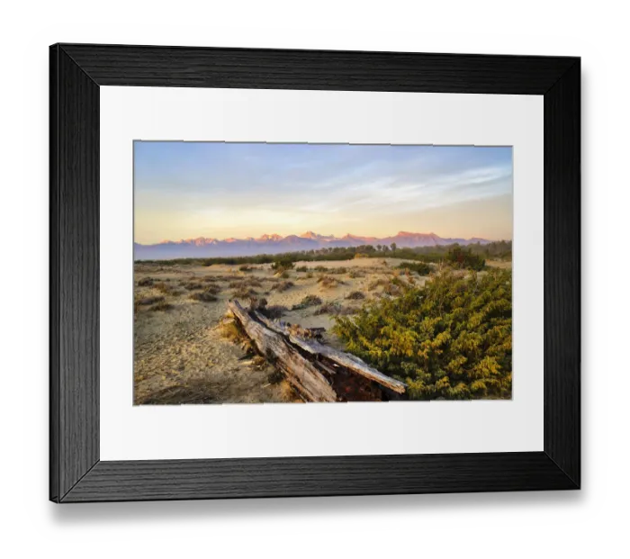 Framed Print : Italy, Riserva Naturale di Massaciuccoli San Rossore, protected coastal forest in Tuscany. Winter views. Apuan Alps on the far distance Framed Print : Italy, Riserva Naturale di Massaciuccoli San Rossore, protected coastal forest in Tuscany. Winter views. Apuan Alps on the far distance