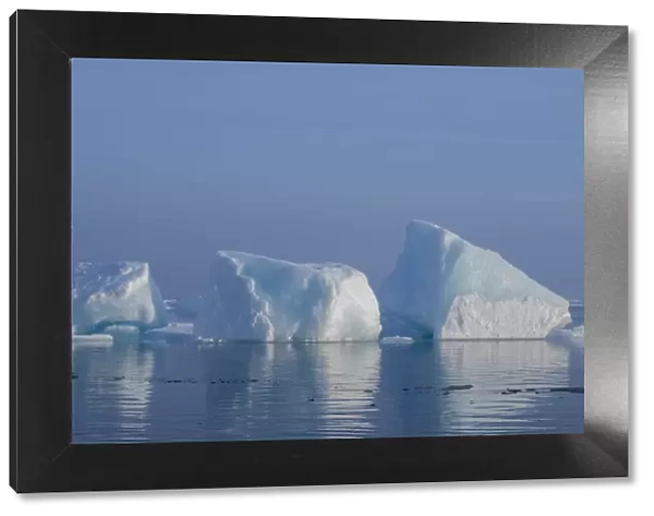 Norway, High Arctic. Ice landscape with icebergs
