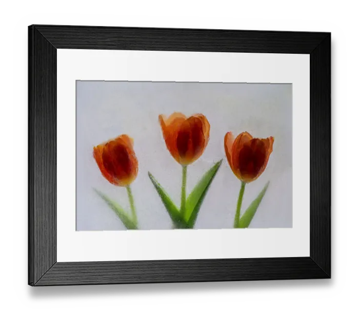Framed Print : Tulip in ice Framed Print : Tulip in ice