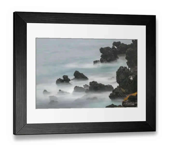 Framed Print : Rocky shoreline of South Plaza Island, Galapagos Islands, Ecuador Framed Print : Rocky shoreline of South Plaza Island, Galapagos Islands, Ecuador