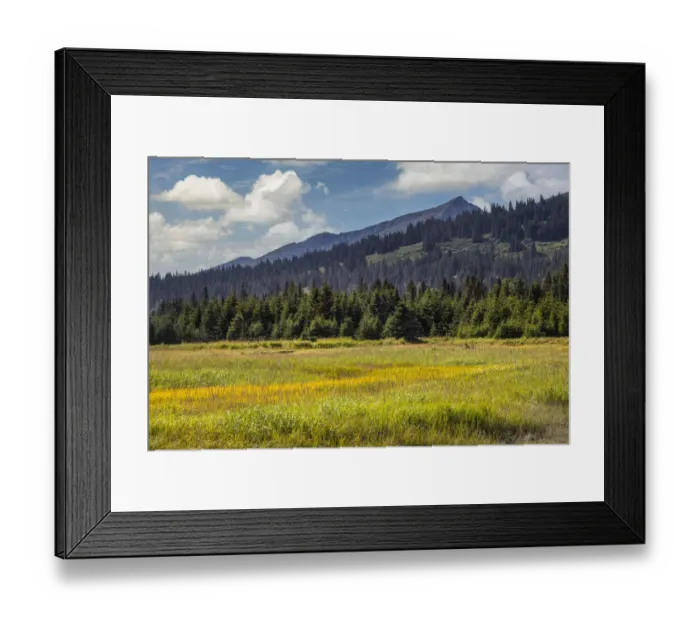 Framed Print : Meadow and mountains at Silver Salmon Creek, Lake Clark National Park and Preserve, Alaska Framed Print : Meadow and mountains at Silver Salmon Creek, Lake Clark National Park and Preserve, Alaska