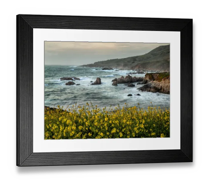 Framed Print : USA, California, Big Sur, Dusk and mustard plants at Soberanes Cove Framed Print : USA, California, Big Sur, Dusk and mustard plants at Soberanes Cove