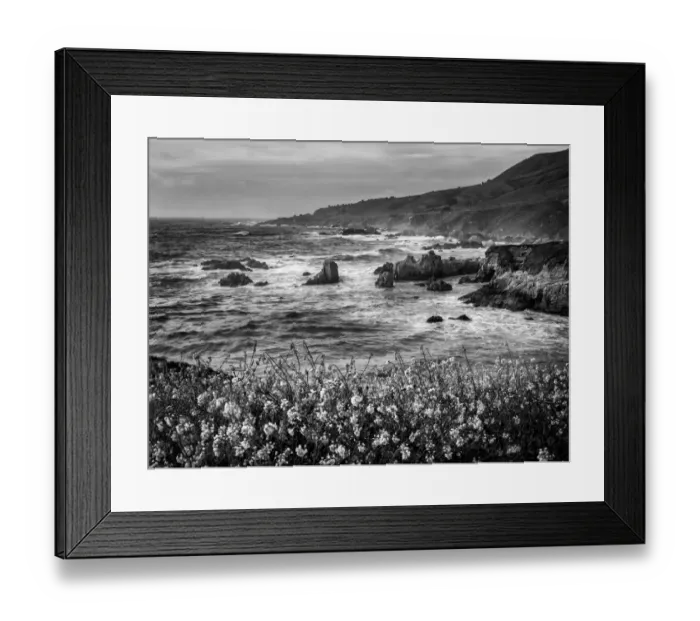 Framed Print : USA, California, Big Sur, Dusk and mustard plants at Soberanes Cove Framed Print : USA, California, Big Sur, Dusk and mustard plants at Soberanes Cove