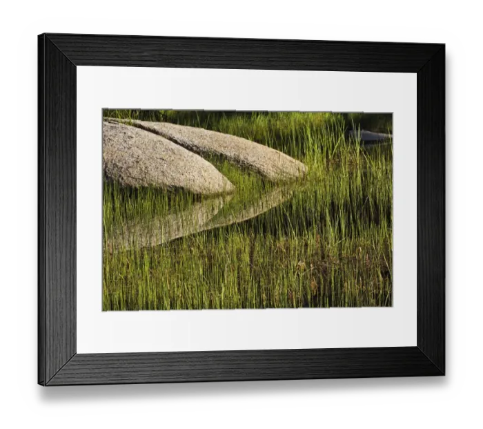 Framed Print : Rocks and grass at first light, Tuolumne Meadows, Yosemite National Park, California Framed Print : Rocks and grass at first light, Tuolumne Meadows, Yosemite National Park, California