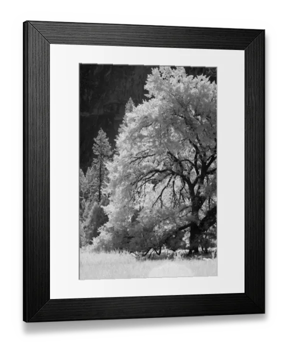 Framed Print : Yosemite Valley in infrared black and white, Yosemite National Park, California Framed Print : Yosemite Valley in infrared black and white, Yosemite National Park, California