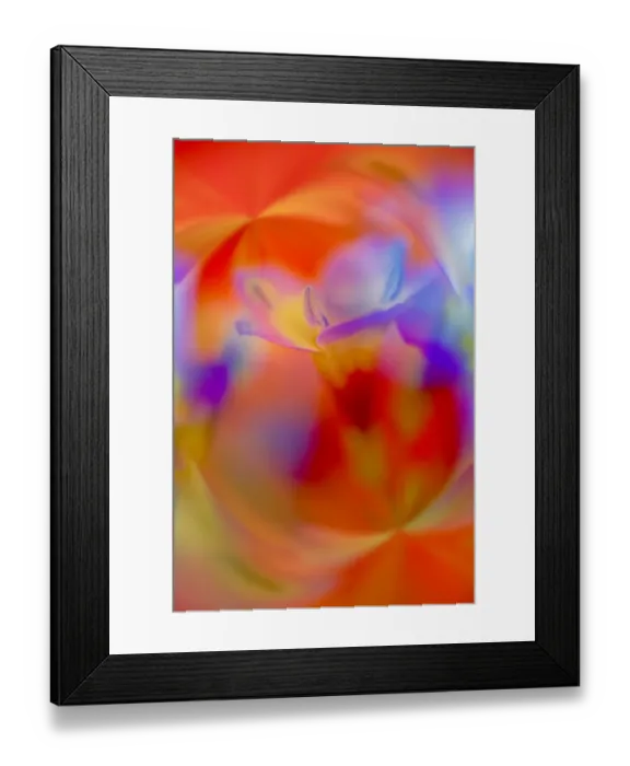 Framed Print : Abstract of Davy Gilia flowers, Antelope Valley California Poppy Preserve, Lancaster, California Framed Print : Abstract of Davy Gilia flowers, Antelope Valley California Poppy Preserve, Lancaster, California