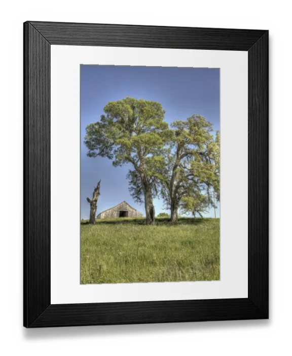 Framed Print : Usa, California. Peaceful rural setting near Folsom. Suburban sprawl is only a few miles away Framed Print : Usa, California. Peaceful rural setting near Folsom. Suburban sprawl is only a few miles away