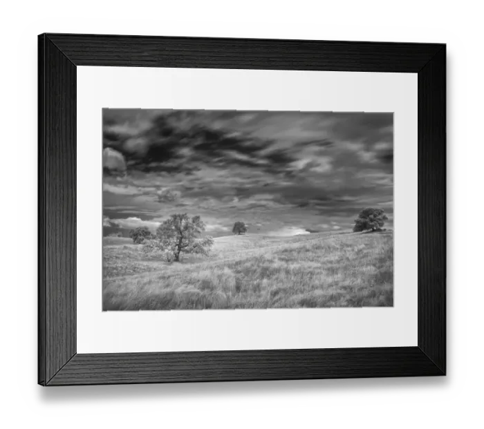 Framed Print : Infrared image of clouds, grasslands and oak trees in Amador County