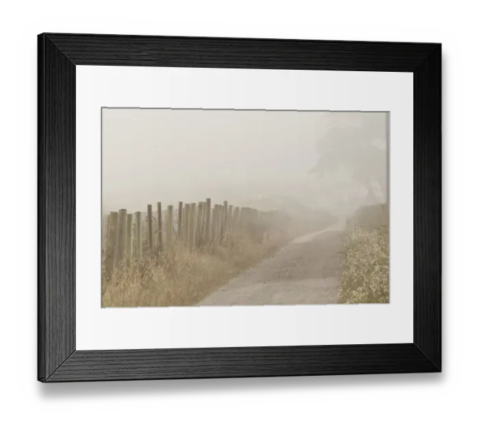 Framed Print : Usa, California. Fog blankets this driveway at Point Reyes