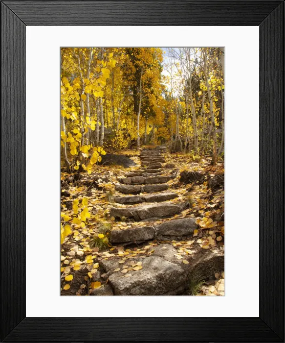 Framed Print : These stone stairs behind Sorensens Resort (now Wylder Hotel) in Hope Valley lead to beautiful aspen trees
