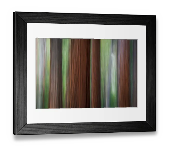 Framed Print : Forest abstract, Yosemite National Park, California USA