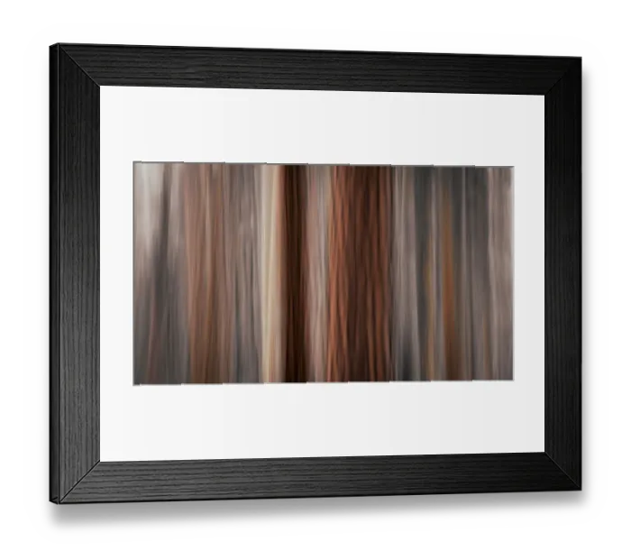 Framed Print : Forest abstract, Yosemite National Park, California USA Framed Print : Forest abstract, Yosemite National Park, California USA