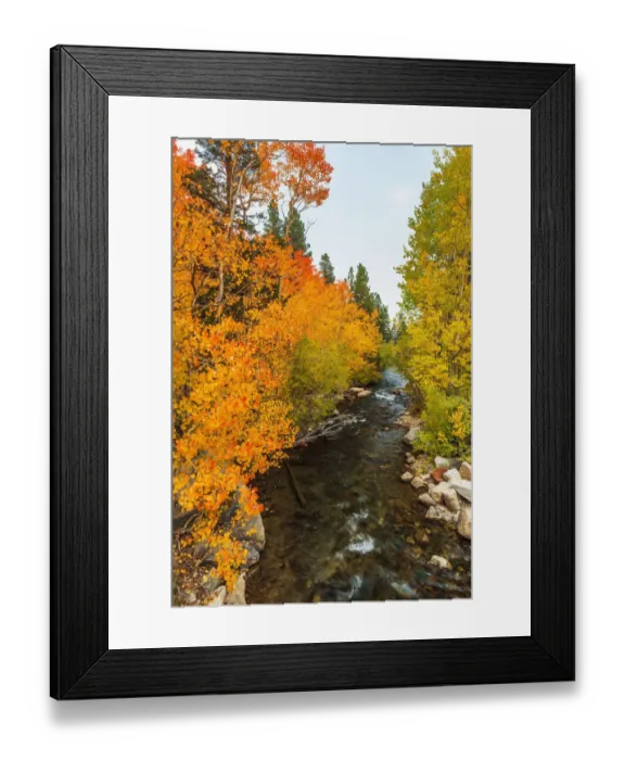 Framed Print : Fall color along Bishop Creek, Inyo National Forest, California USA Framed Print : Fall color along Bishop Creek, Inyo National Forest, California USA
