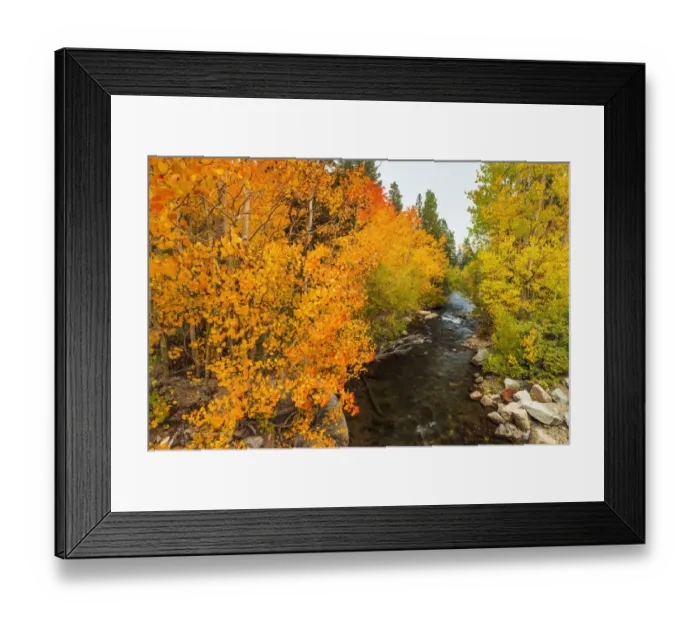 Framed Print : Fall color along Bishop Creek, Inyo National Forest, California USA