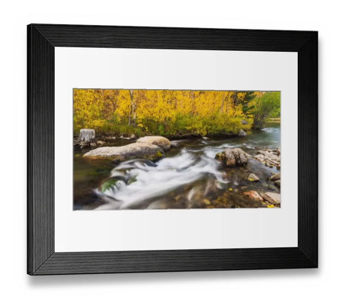 Framed Print : Fall color along Bishop Creek, Inyo National Forest, California USA Framed Print : Fall color along Bishop Creek, Inyo National Forest, California USA