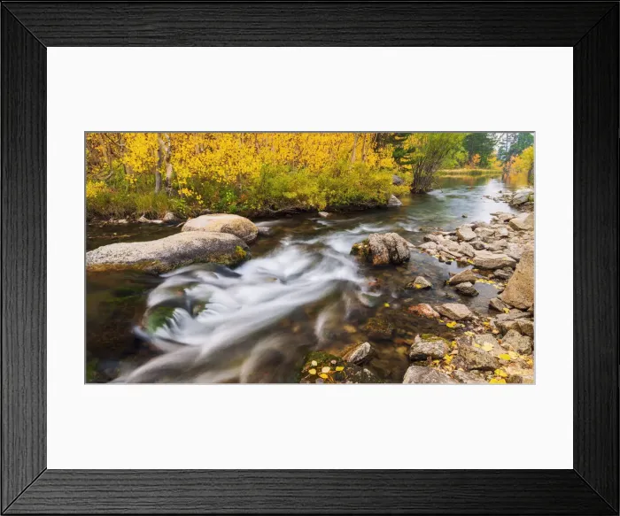 Framed Print : Fall color along Bishop Creek, Inyo National Forest, California USA Framed Print : Fall color along Bishop Creek, Inyo National Forest, California USA