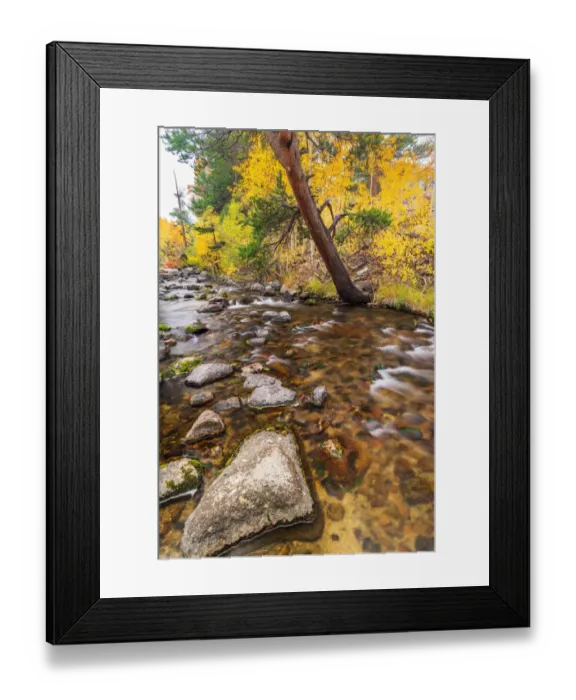 Framed Print : Fall color along Bishop Creek, Inyo National Forest, California USA