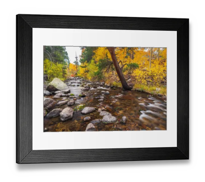 Framed Print : Fall color along Bishop Creek, Inyo National Forest, California USA Framed Print : Fall color along Bishop Creek, Inyo National Forest, California USA