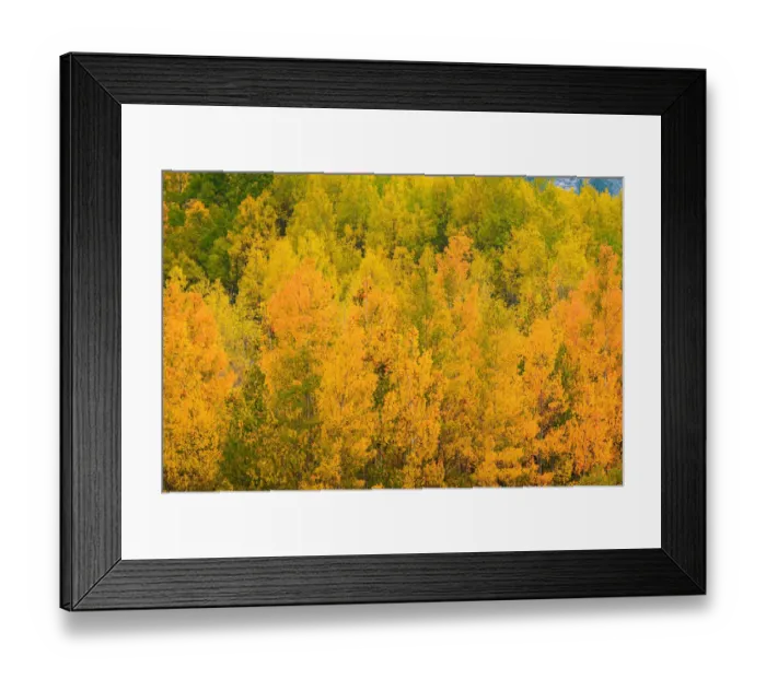 Framed Print : Fall color along Bishop Creek, Inyo National Forest, California USA Framed Print : Fall color along Bishop Creek, Inyo National Forest, California USA