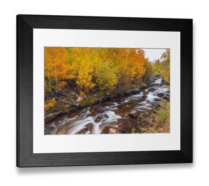 Framed Print : Fall color along Bishop Creek, Inyo National Forest, California USA Framed Print : Fall color along Bishop Creek, Inyo National Forest, California USA