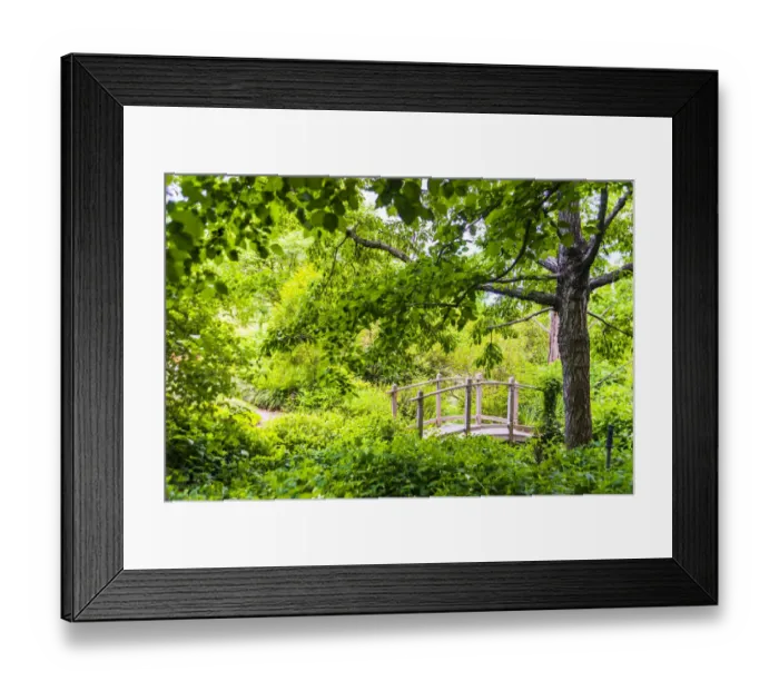 Framed Print : A wooden bridge crossing a small creek alongside a dirt path in a very green, lush forest setting Framed Print : A wooden bridge crossing a small creek alongside a dirt path in a very green, lush forest setting