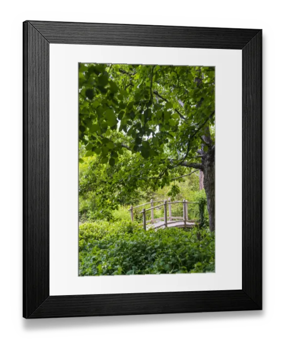 Framed Print : A wooden bridge crossing a small creek alongside a dirt path in a very green, lush forest setting