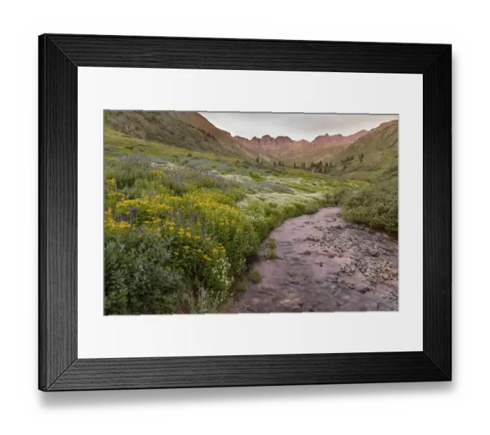 Framed Print : USA, Colorado. Mountain landscape with wildflowers and stream Framed Print : USA, Colorado. Mountain landscape with wildflowers and stream