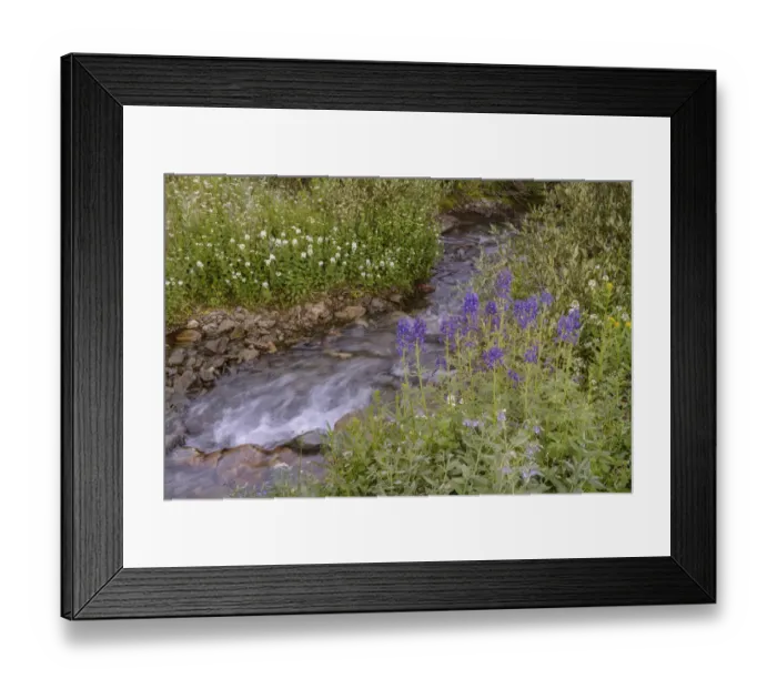 Framed Print : USA, Colorado. Mountain wildflowers and stream Framed Print : USA, Colorado. Mountain wildflowers and stream